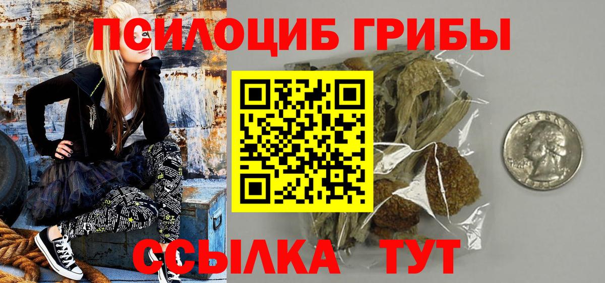 Галлюциногенные грибы мицелий Шатура