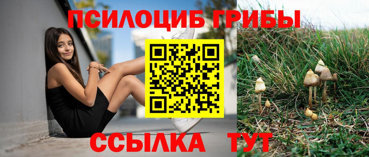 Галлюциногенные грибы мицелий  Галлюциногенные грибы Psilocybe  Вход с VPN  Шатура 